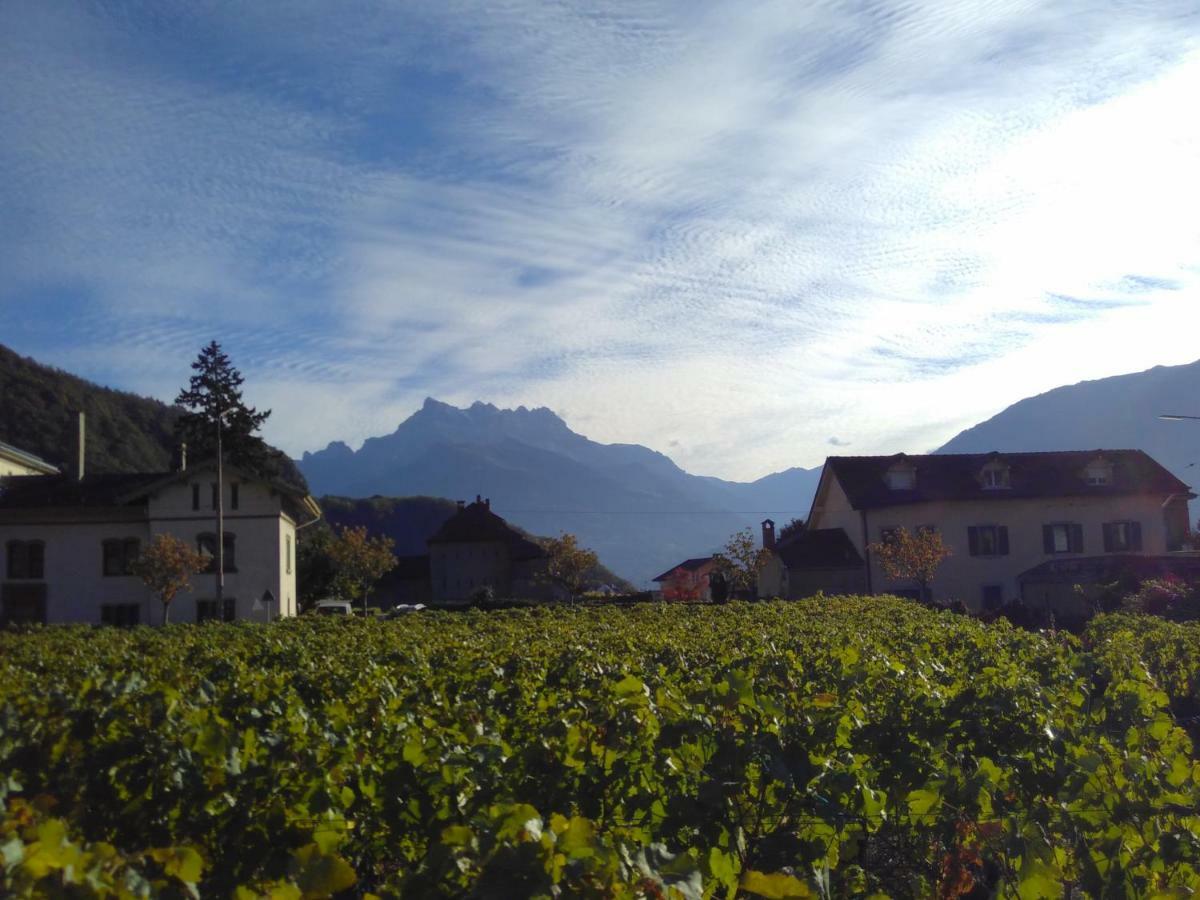 Element-Terre Hotel Aigle Kültér fotó
