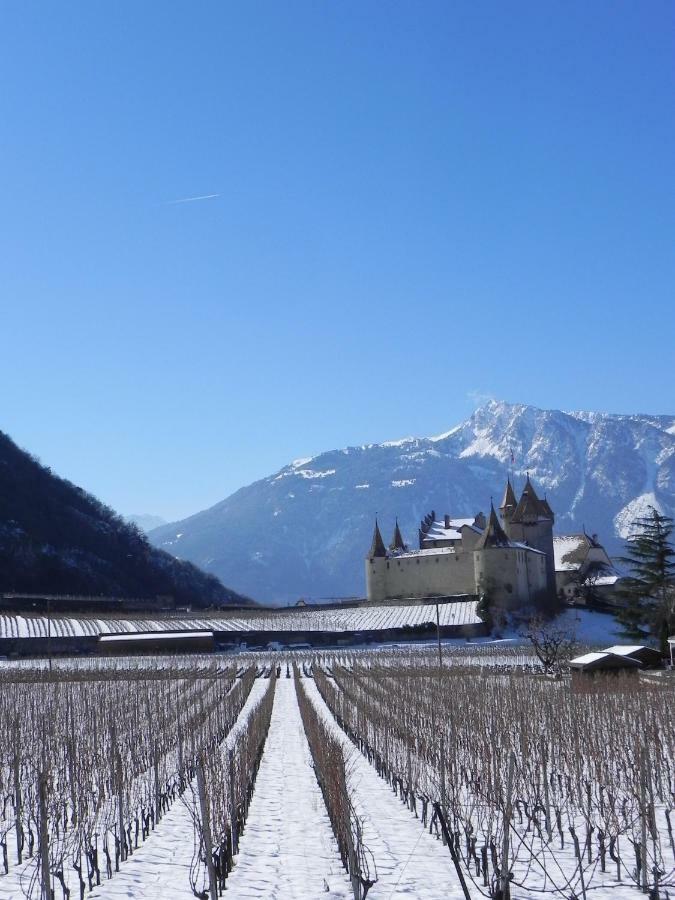 Element-Terre Hotel Aigle Kültér fotó